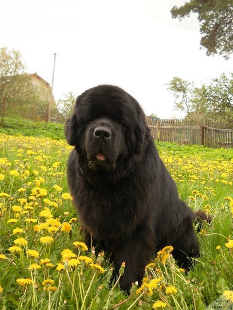 Фотография № 68571