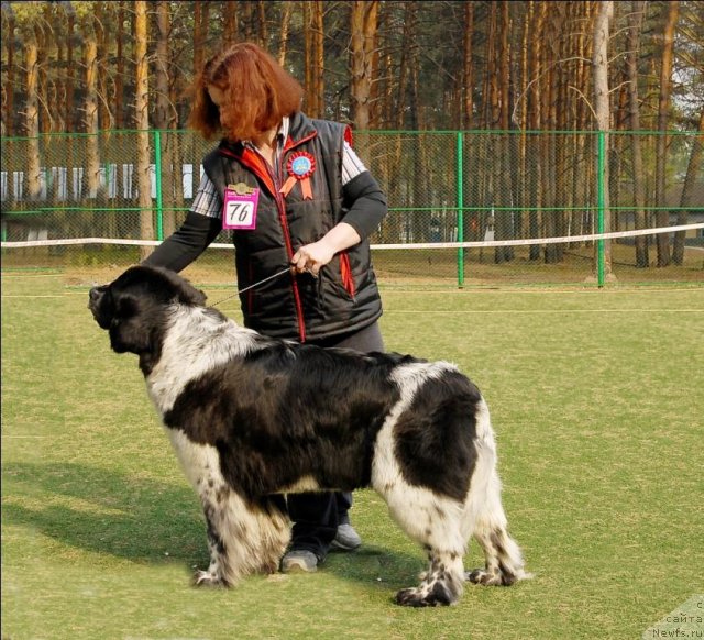 Фотография № 68807