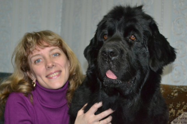 Фото: ньюфаундленд Gloriya Grand Blek (Глория Гранд Блек), и Лена