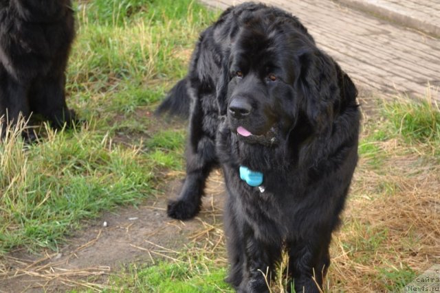 Фотография № 68865