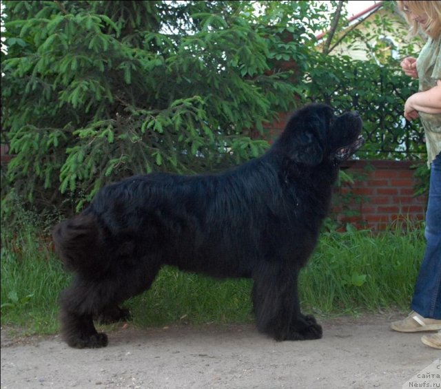 Фотография № 68911