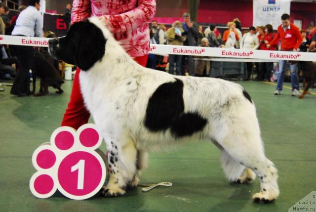 Фотография № 6892