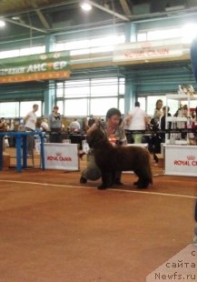 Фотография № 68994