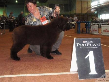 Фотография № 68995