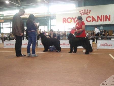 Фотография № 68996