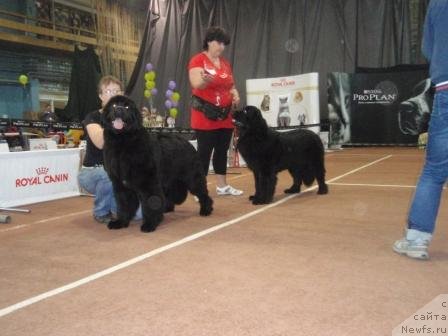 Фотография № 68999