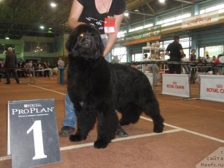 Фотография № 69002