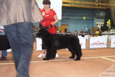 Фотография № 69003