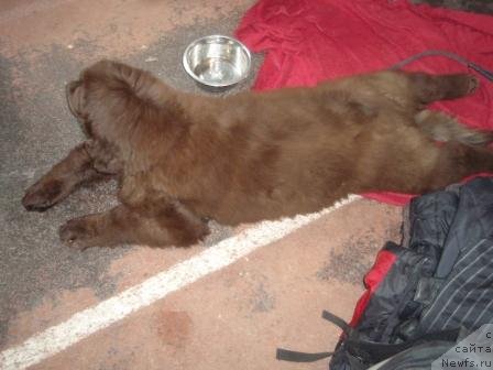 Фотография № 69004