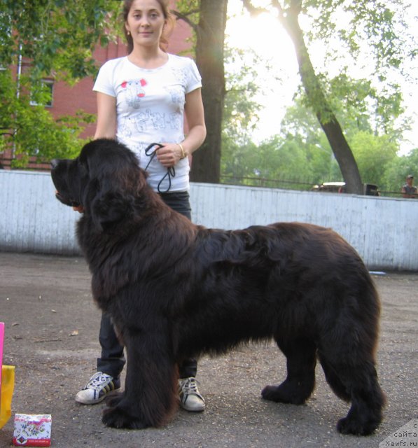 Фотография № 69039