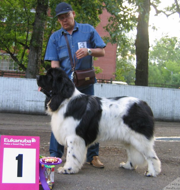 Фотография № 69040