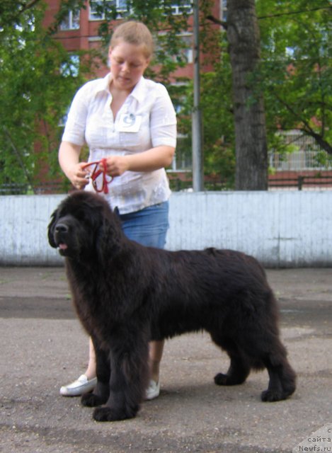 Фотография № 69046