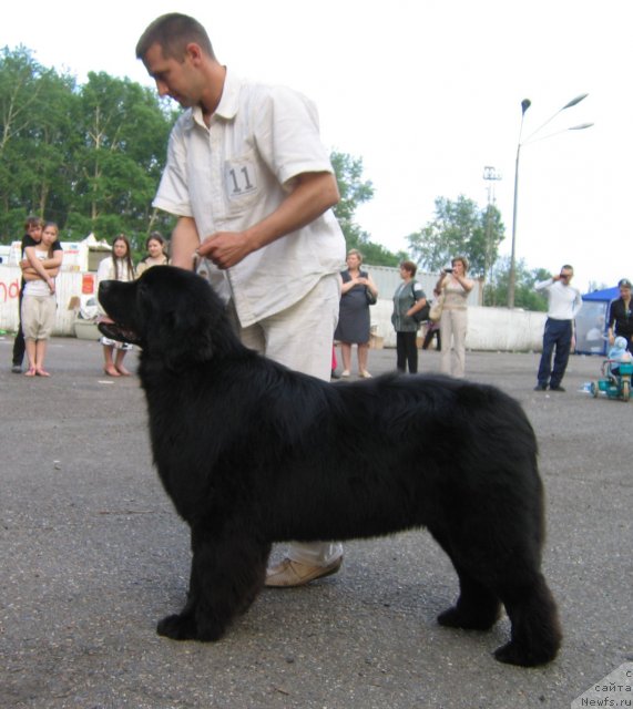 Фотография № 69048