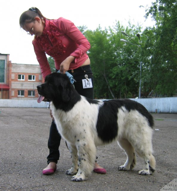 Фотография № 69050