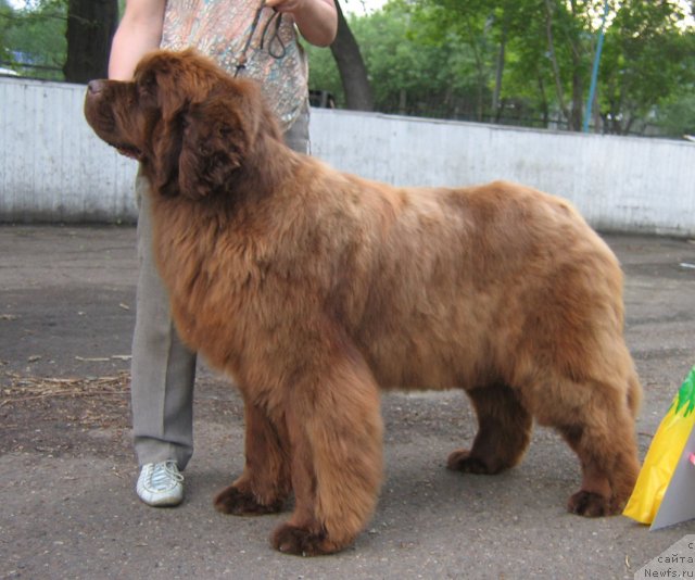 Фотография № 69052