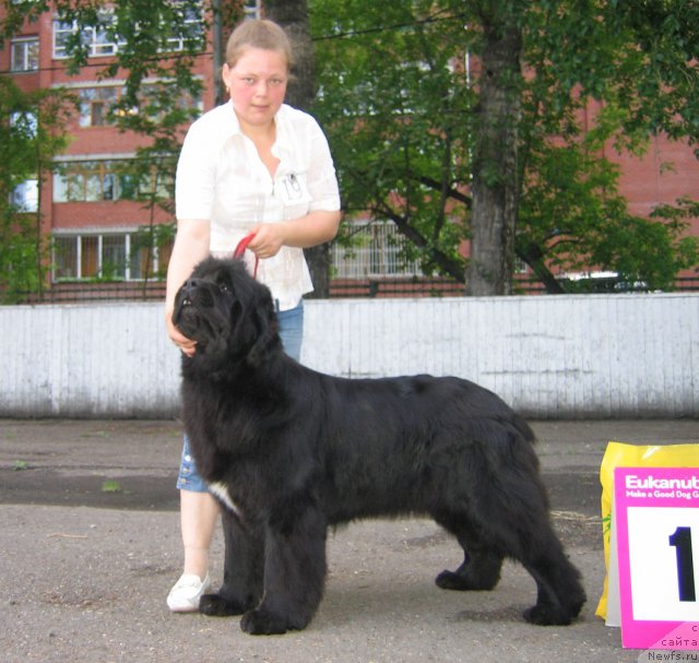 Фотография № 69054