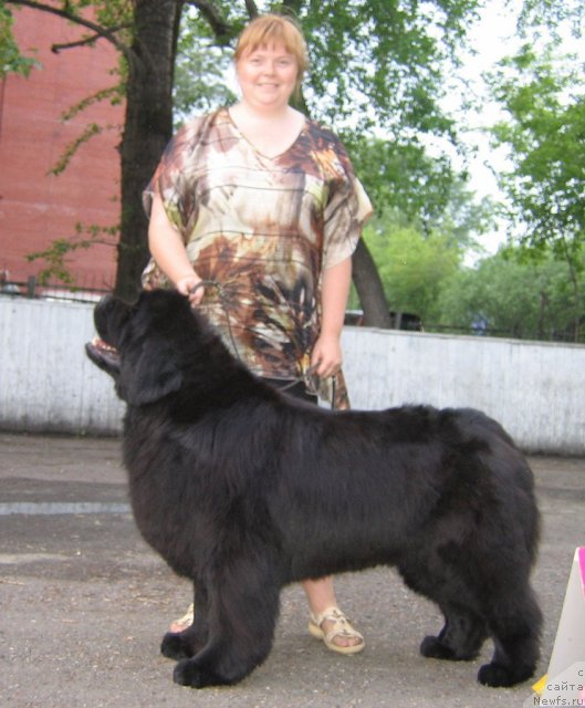 Фотография № 69056