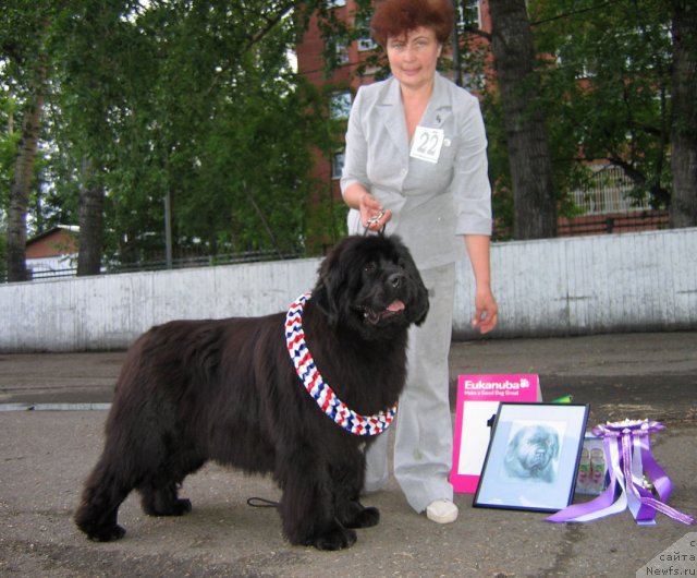 Фотография № 69058