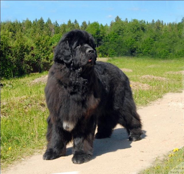 Фотография № 69075