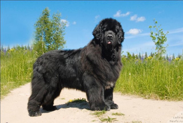 Фотография № 69078