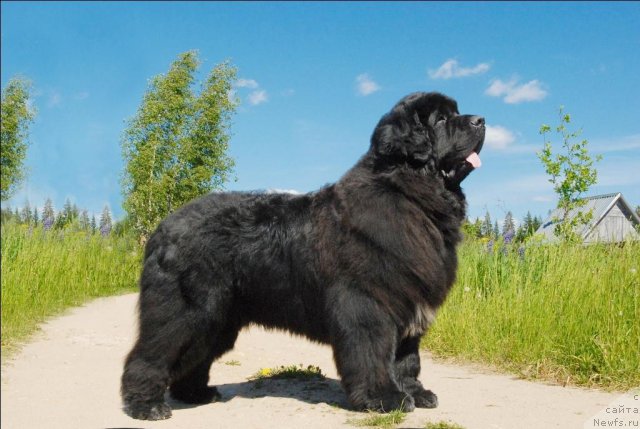 Фотография № 69080