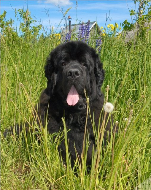 Фотография № 69087