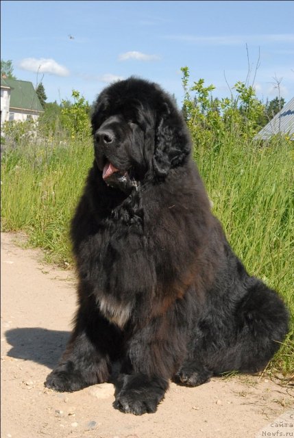 Фотография № 69093