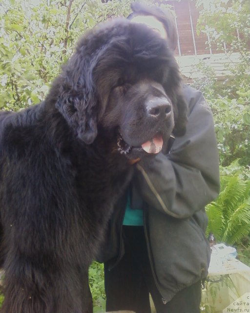 Фотография № 69094