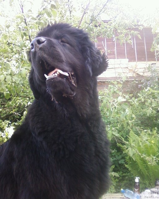 Фотография № 69099