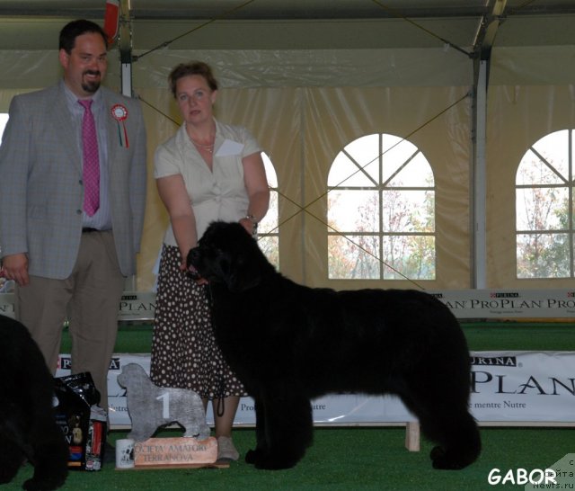 Фотография № 69112