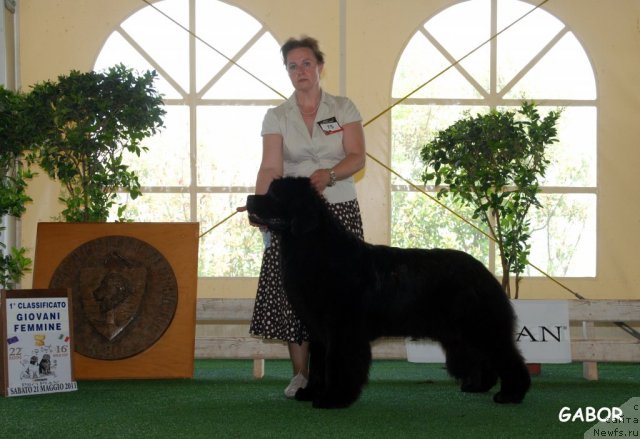 Фотография № 69113