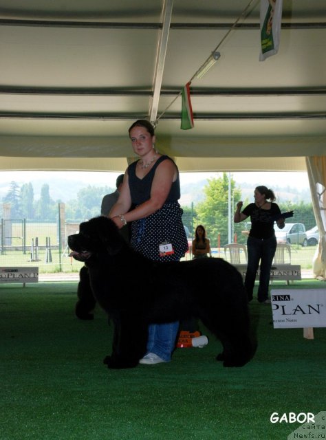 Фотография № 69116