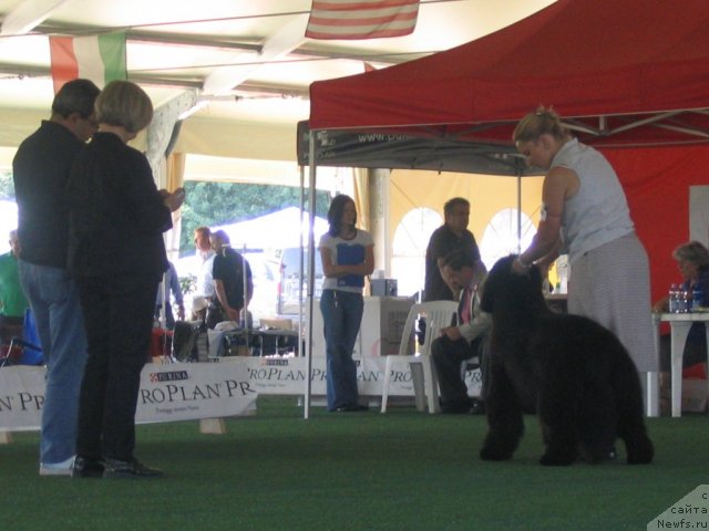 Фотография № 69123