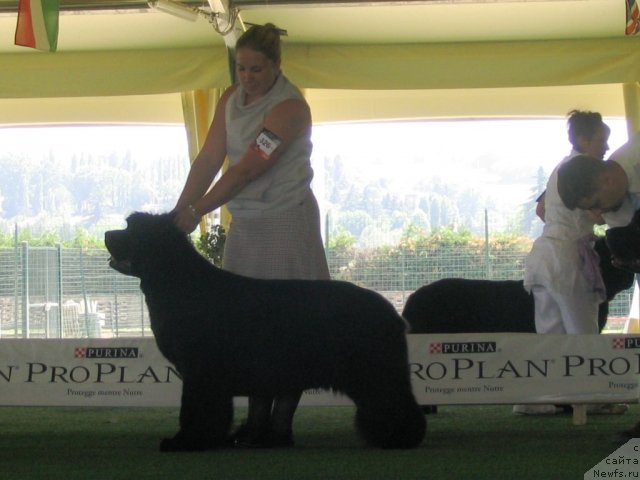 Фотография № 69125