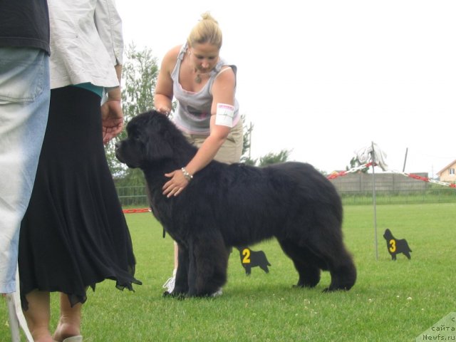 Фотография № 69138