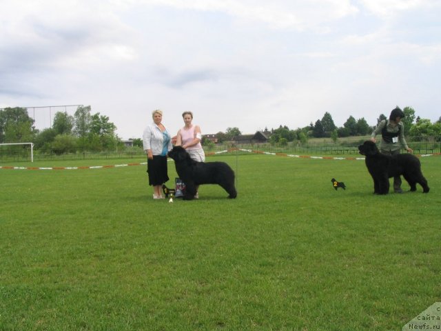 Фотография № 69140