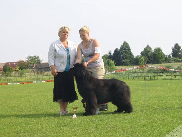 Фотография № 69142