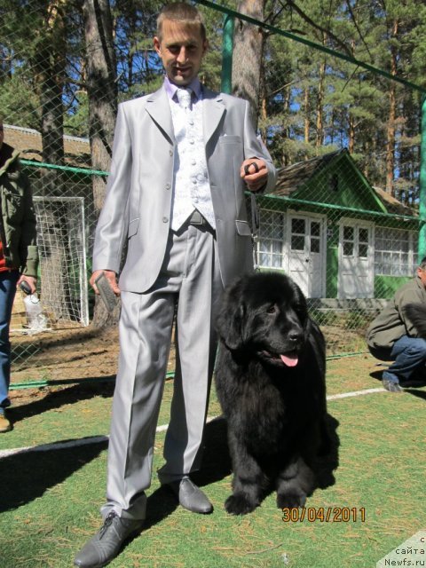 Фотография № 69222