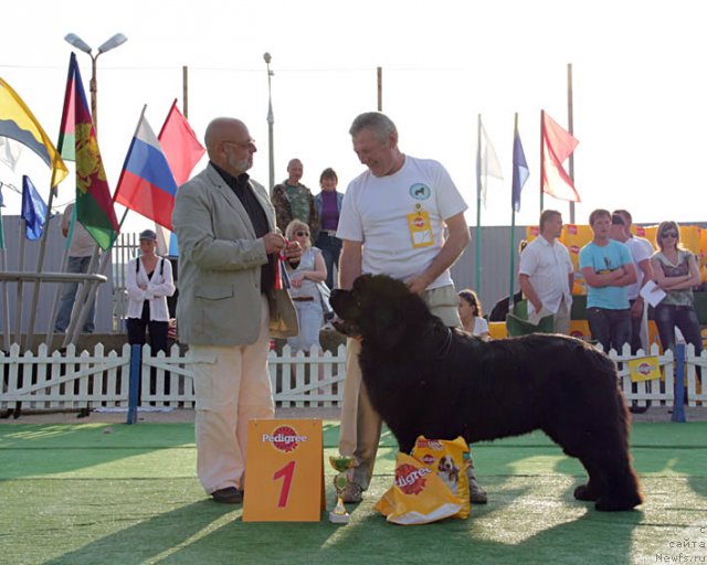 Фотография № 69226