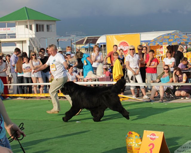 Фотография № 69228