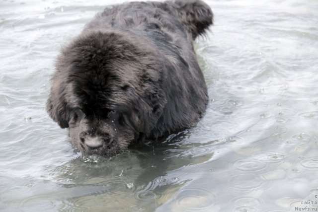 Фотография № 69229