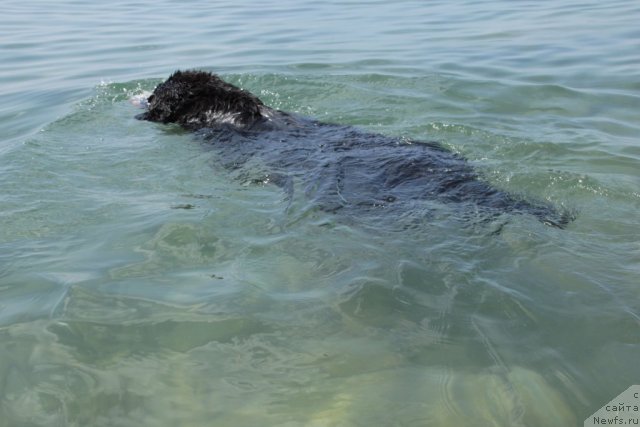 Фотография № 69230