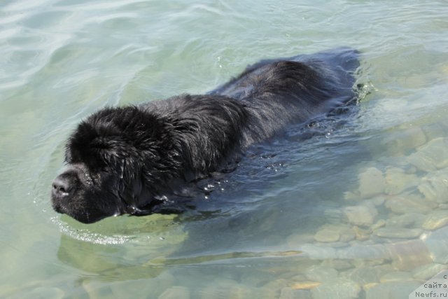 Фотография № 69237