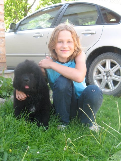 Фото: Бегущая по волнам Зум Зум