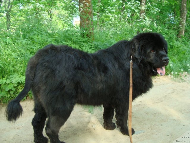 Фотография № 69303