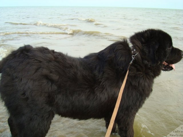 Фотография № 69304