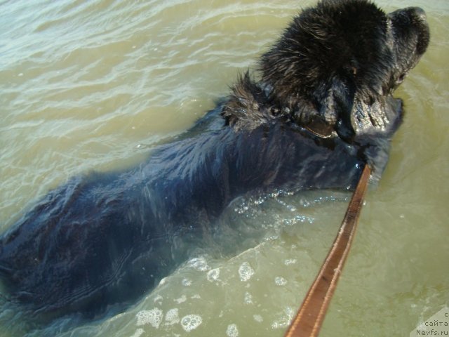 Фотография № 69305