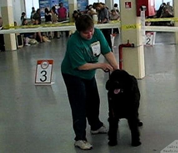 Фотография № 69310