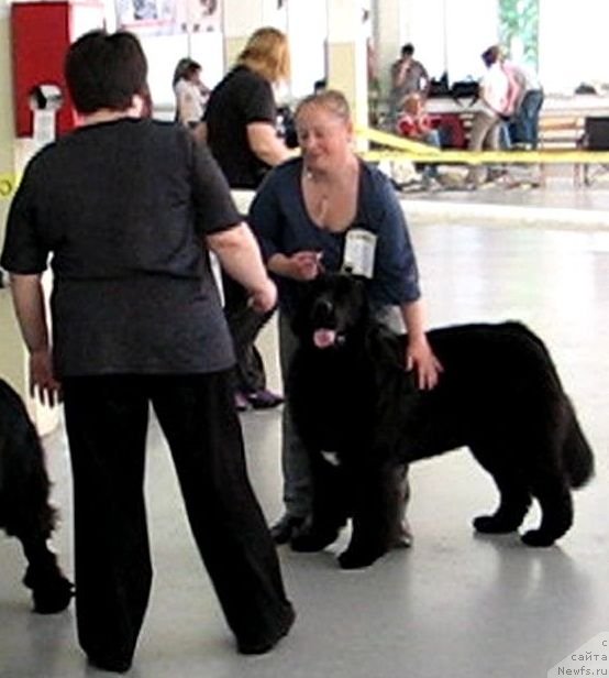 Фотография № 69311