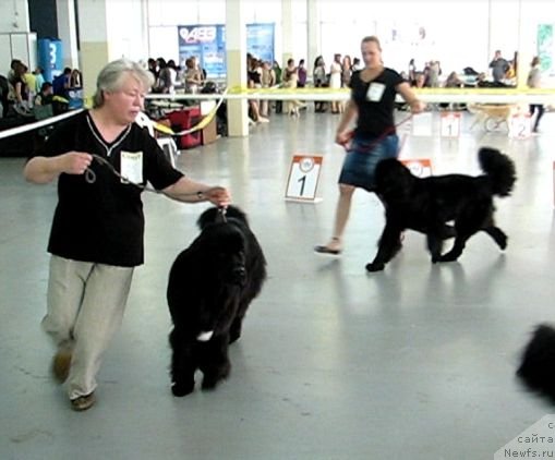 Фотография № 69314